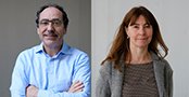 Jordi Alonso y Montse Fitó, entre los científicos más citados del mundo
