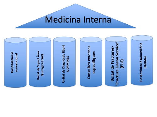 Estructura_Medicina_Interna